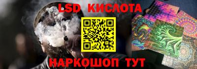 прущие грибы Кандалакша