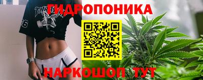 прущие грибы Кандалакша