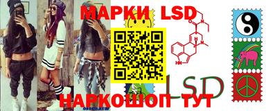 прущие грибы Кандалакша